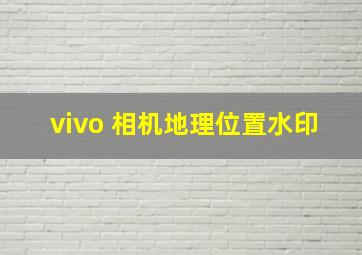 vivo 相机地理位置水印